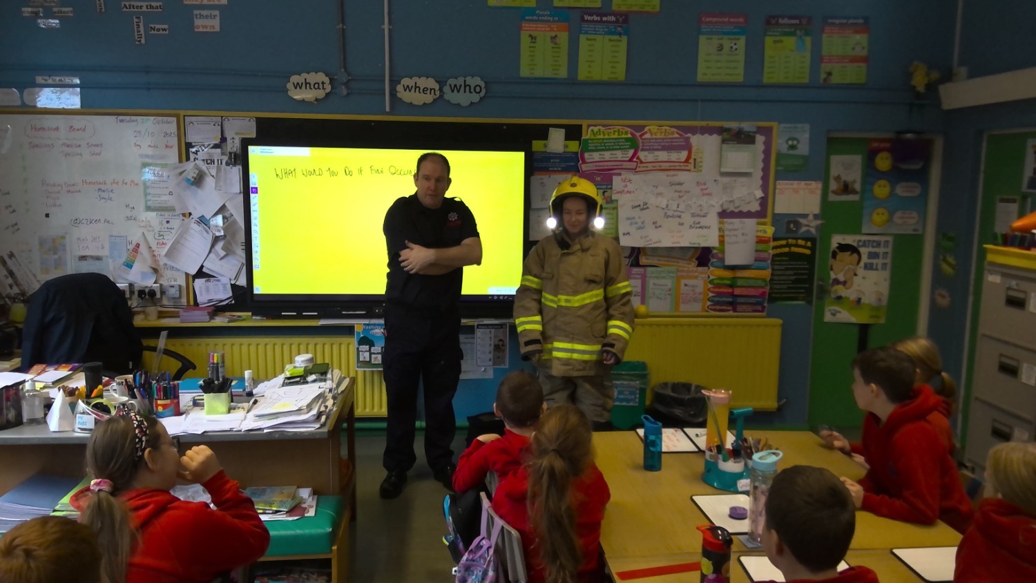 Special Visitor (NIFRS)