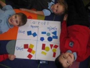 Data Handling in Mrs Crosbie's P2/3 class this week!