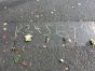 Outdoor Numeracy Fun P2 & 3 Miss Sproule