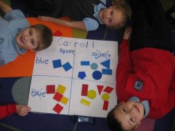 Data Handling in Mrs Crosbie's P2/3 class this week!